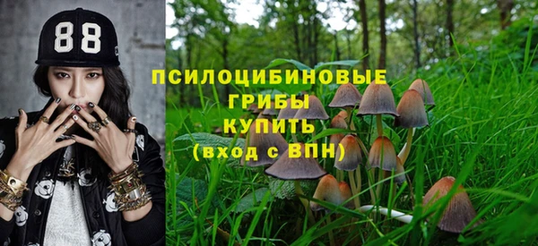 дживик Алзамай