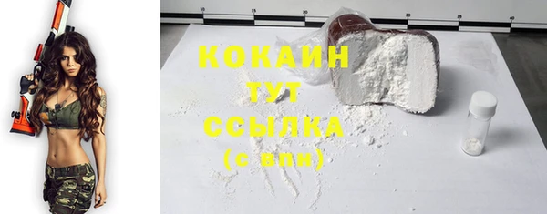 дживик Алзамай