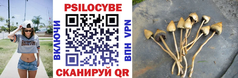 купить наркоту Нижние Серги OMG как зайти Псилоцибиновые грибы мицелий